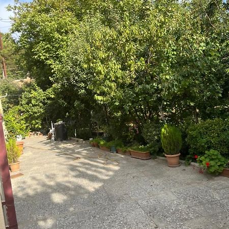 Cozy Space In Tbilisi Exteriör bild
