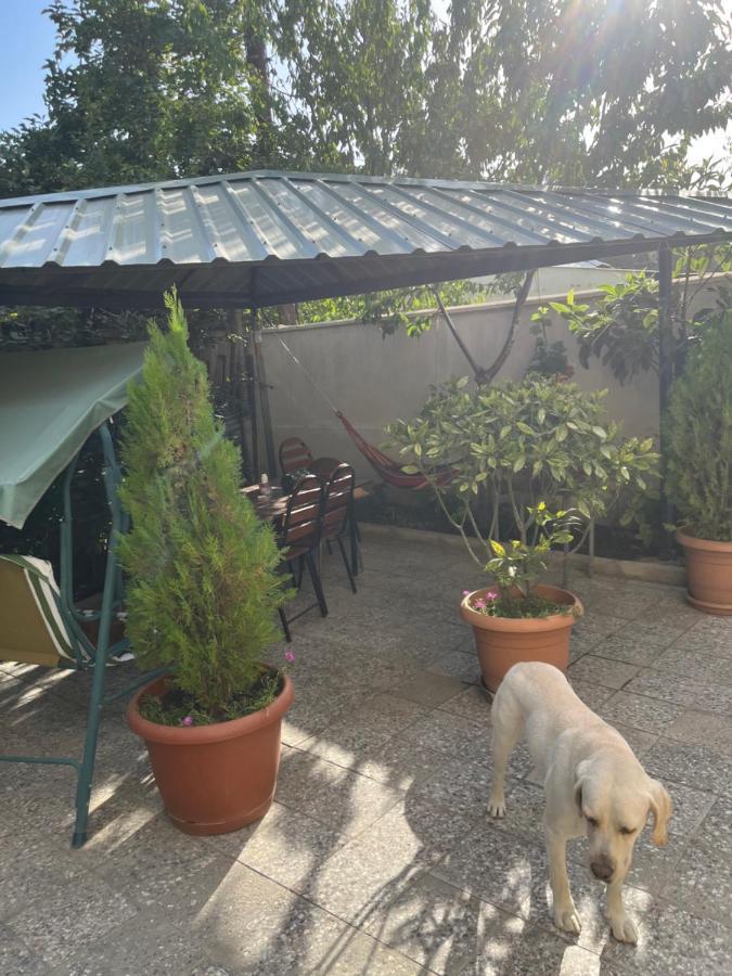Cozy Space In Tbilisi Exteriör bild